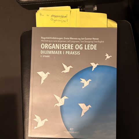 Organisere og lede: Dilemmaer i praksis 2.utgave