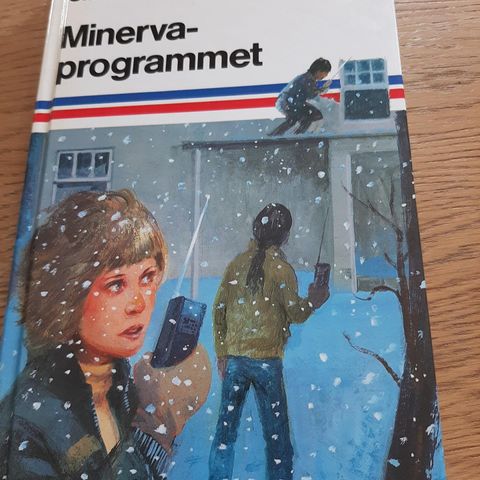 Minerva programmet