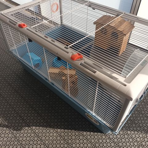 Hamstererbur med diverse innhold/ utstyr