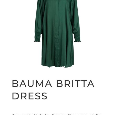 Bruuns Bazaar BAUMA BRITTA DRESS