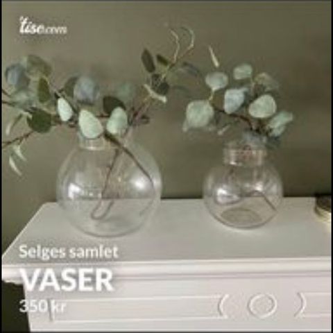 vaser