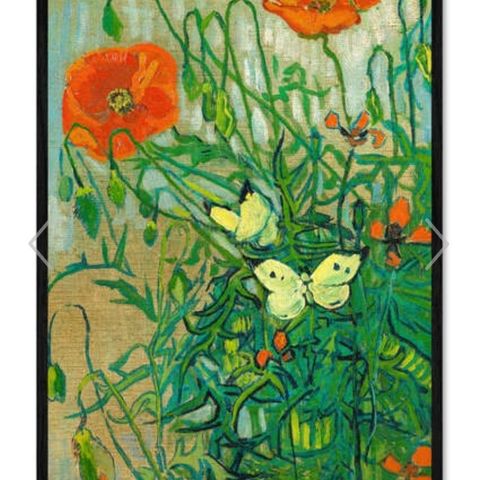 Van Gogh "Butterflies and poppies"