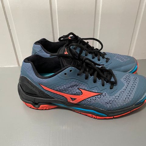 Mizuno hallsko str 40