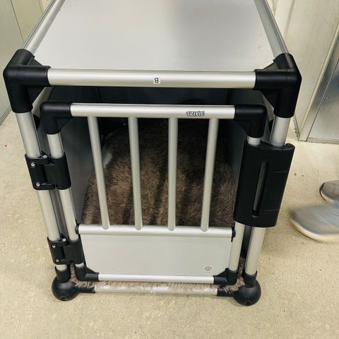 hundebur Trixie - hund på 10-18 kg