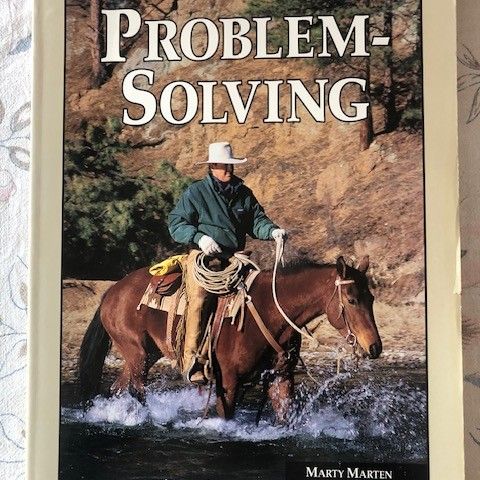 Marty Marten: Problemsolving
