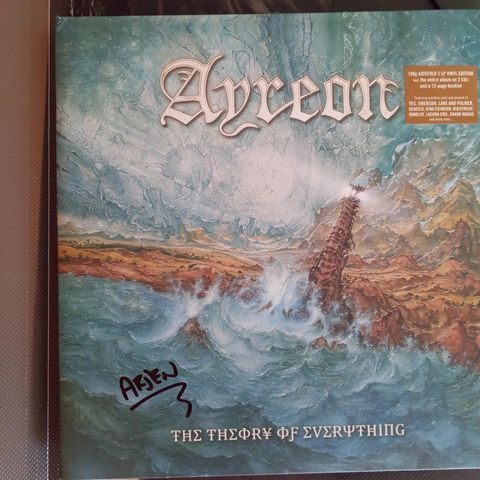 Ayreon: Dobbel vinyl + CDer (signert)