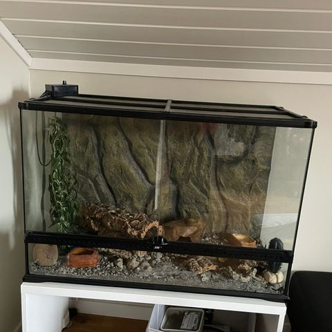 Terrarium bredde 90 cm, høyde 62 cm, dybde 45 cm