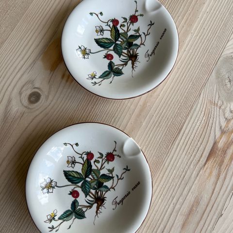 Villeroy & Boch Botanica