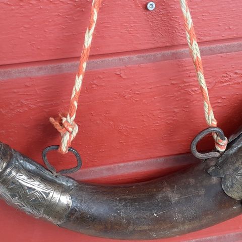 Antikk Krut Horn