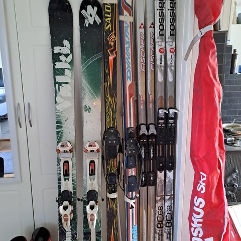 Telemark ski