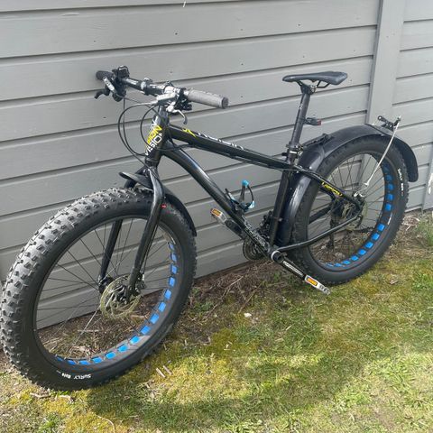 Vision Fatbike