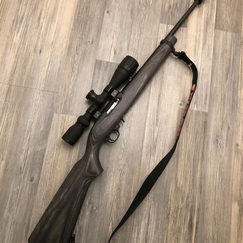 Ruger 10/22