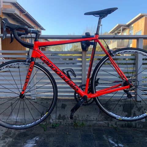 Cannondale caad 12