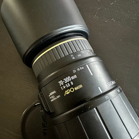 Sigma telezoom 70-300mm 1:4-5.6 D Apo Macro