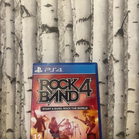 Rock Band 4 til Playstation 4