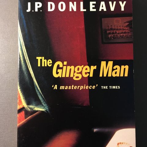 The ginger man - J.P. Donleavy