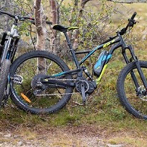 ebike