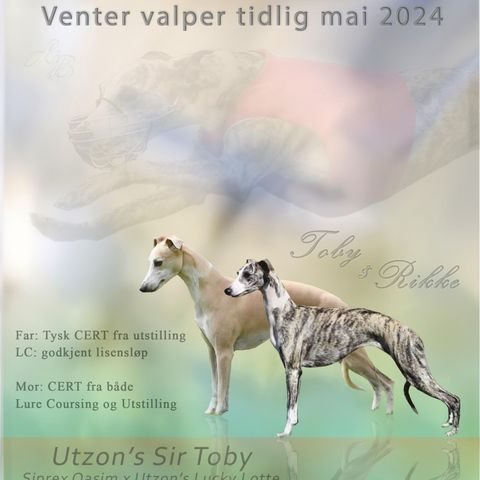 Valper født 2 Mai