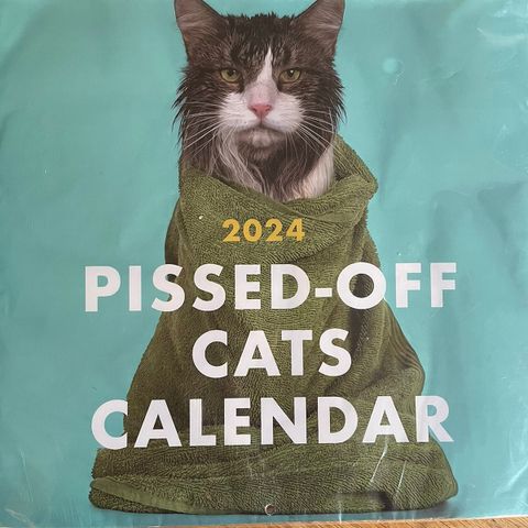 Katte kalender 2024