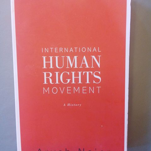 The International Human Rights Movement. A History