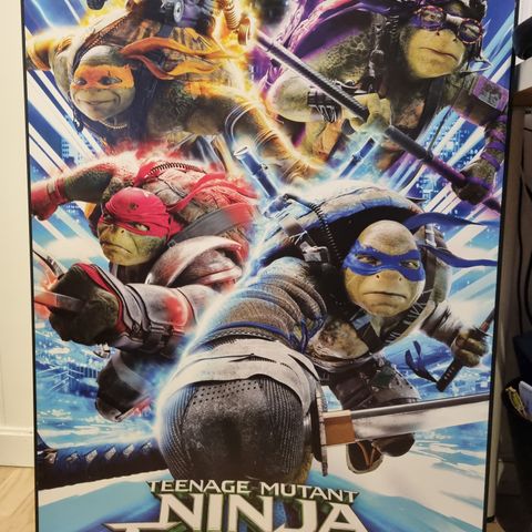 Ninja turtles bilde