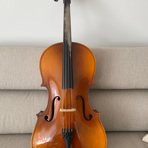 Cello 1/2 Hora Reghin