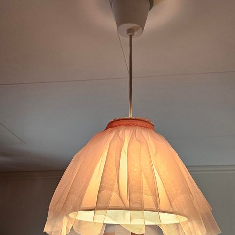 Taklampe og bordlampe