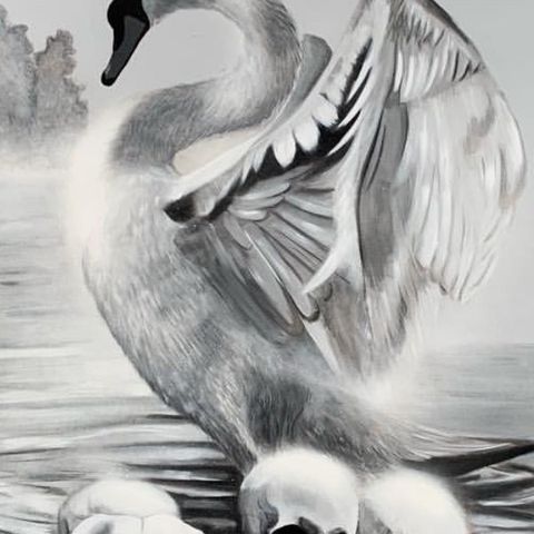 Ann Maleri Death Swan