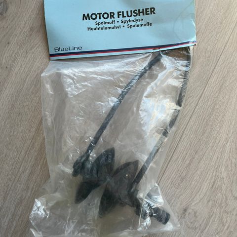 Motor flusher