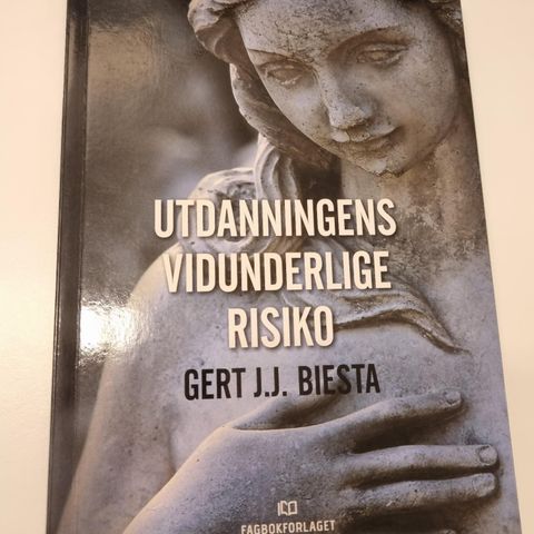 Utdanningens vidunderlige risiko