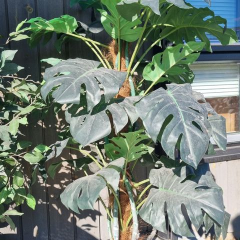 Kunstig Monstera plante, høyde 130cm
