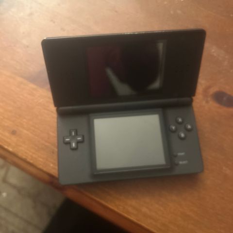 nintendo ds lite