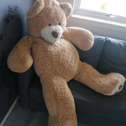 Stor kosebamse selges