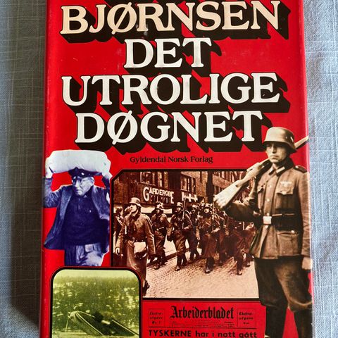 Det utrolige døgnet av Bjørn Bjørnsen