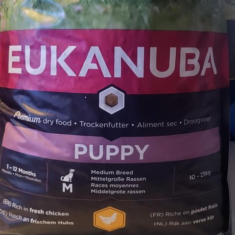 Eukanuba poppy