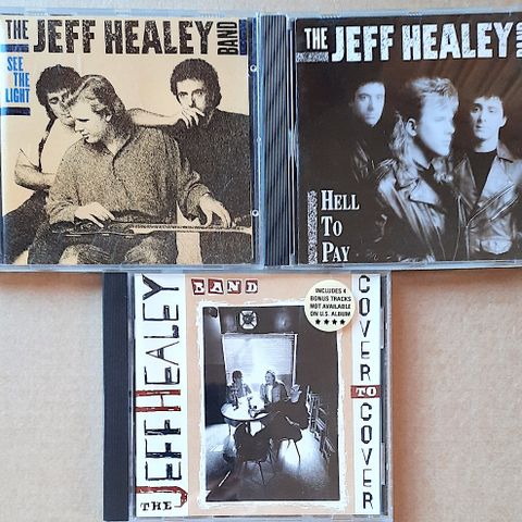 The Jeff Healey Band