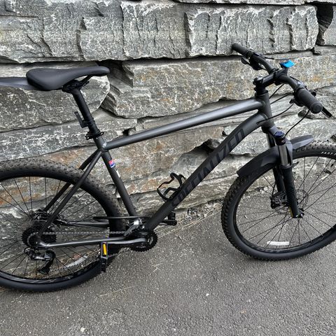 Specialized Rockhopper 29 XXL