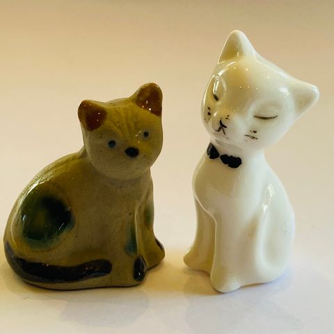 To små katter miniatyr settekasseting