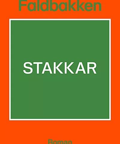 Stakkar - roman Av Matias Faldbakken