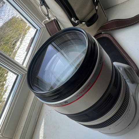 Canon 100-400 L IS