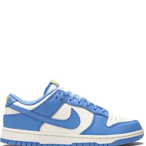 Nike dunk (coast) sneakers