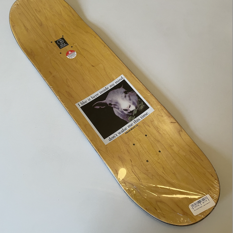 Polar 8.75 skateboard