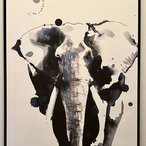 Elephant - fra Tails 70x50cm