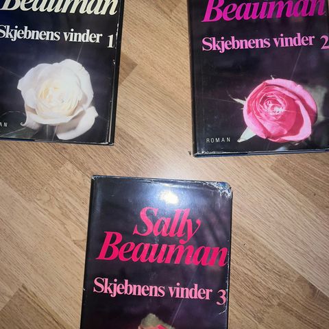 Sjebnens vinder- Sally beauman