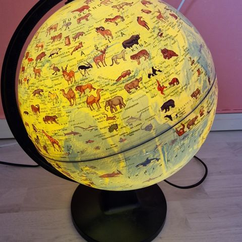 Globus / jordkloden  lampe til soverom