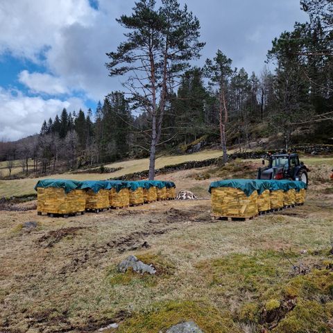 Førsteklasses bjørkeved i 1500L sekk.