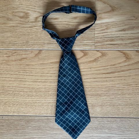 Rutete slips til dame