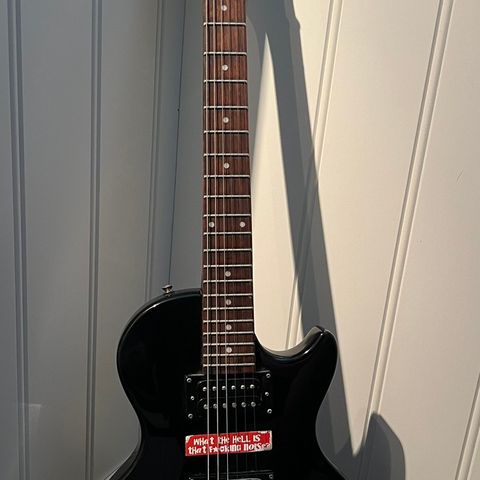 Epiphone special model II