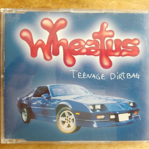 🎵 Wheatus  – Teenage Dirtbag 🎵