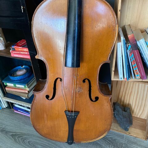 gammel Cello